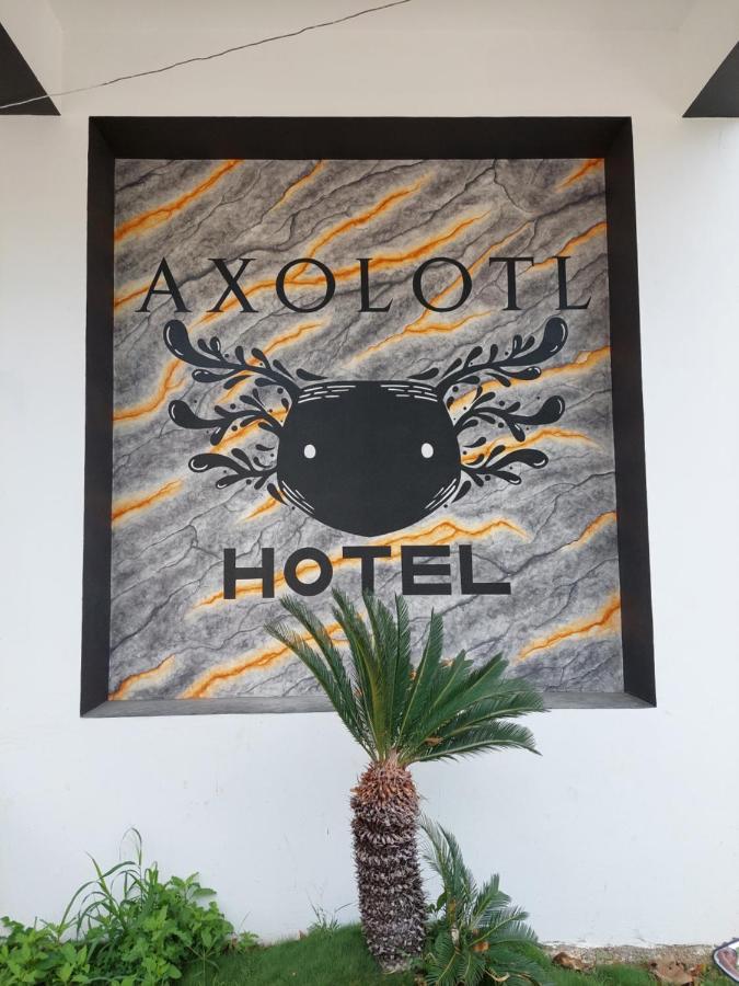 Hotel Axolotl Пуерто-Ескондідо Екстер'єр фото
